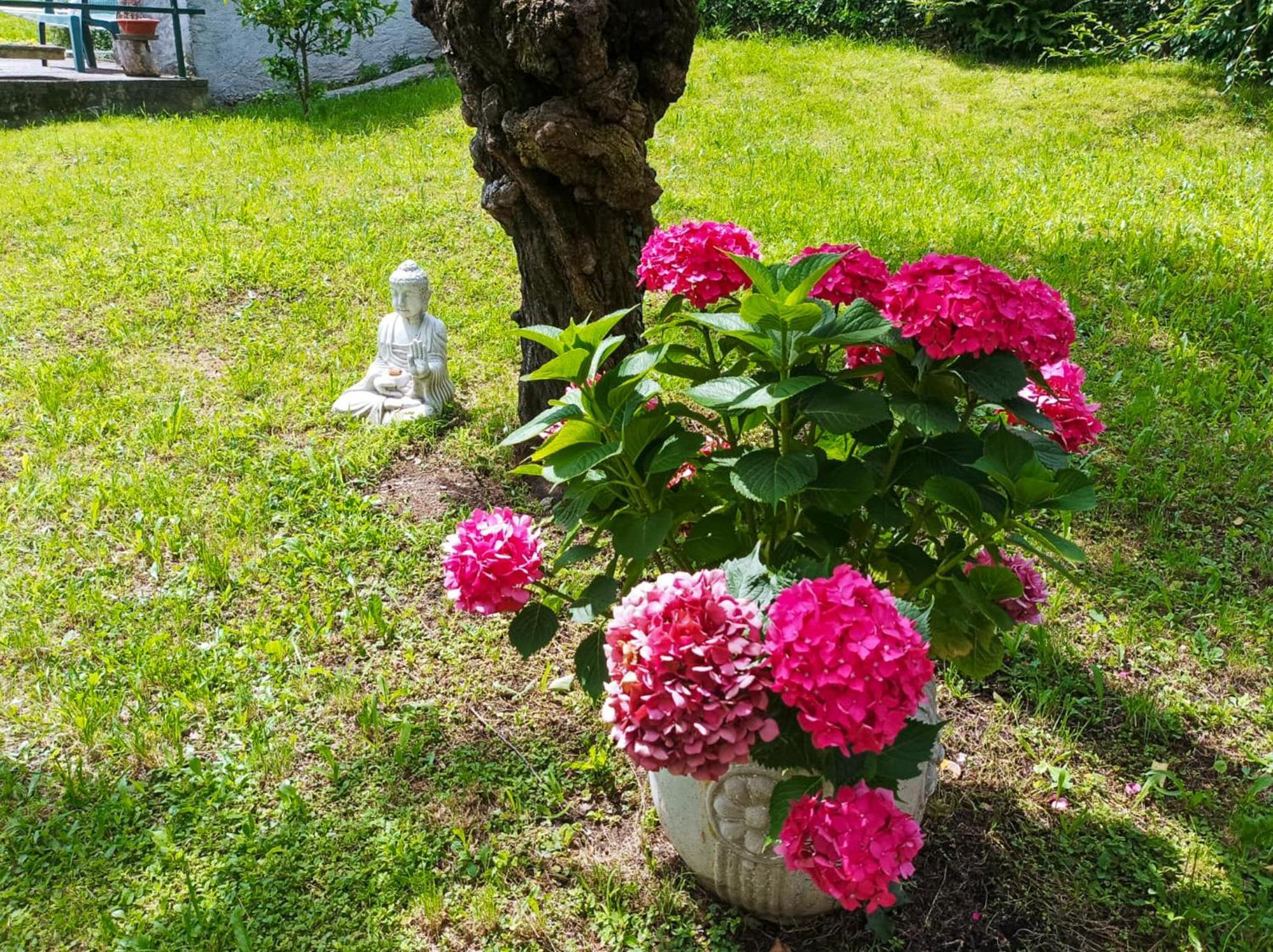 Tre Terre Ferienwohnung Pianello Del Lario Zewnętrze zdjęcie